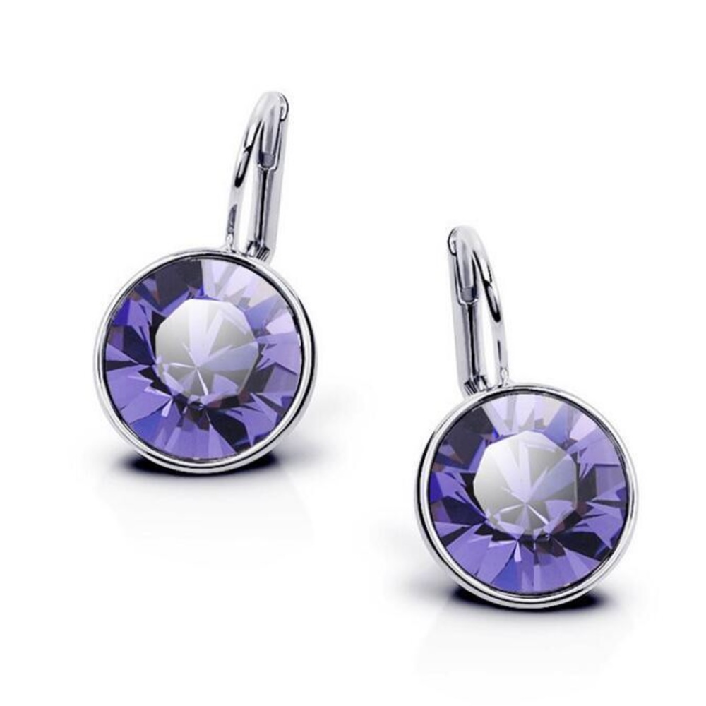 Stunning French Clip Purple Earrings